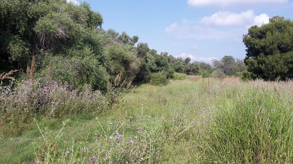 RUTA LA MOLA