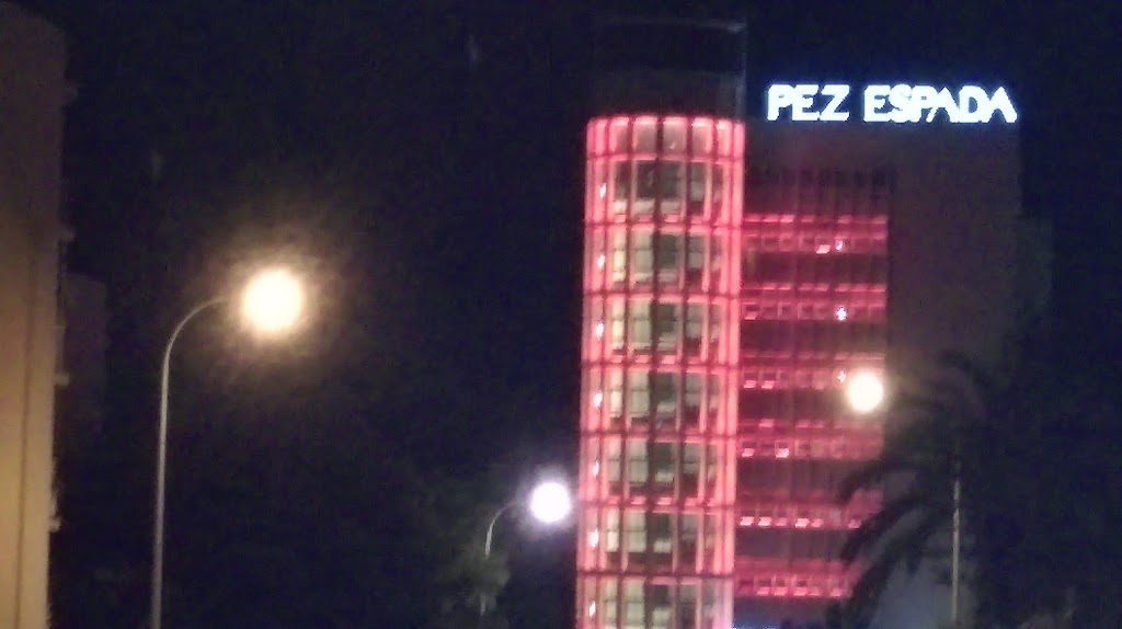 Ana Maria Mora Perez