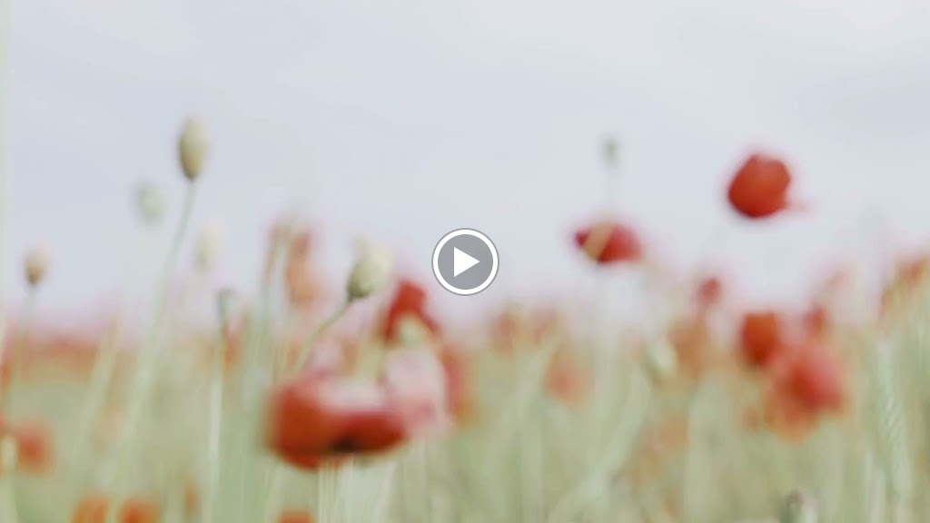 Farmacia & Ortopedia Lazaro - Martin (FarmaciasML.es) — Videos