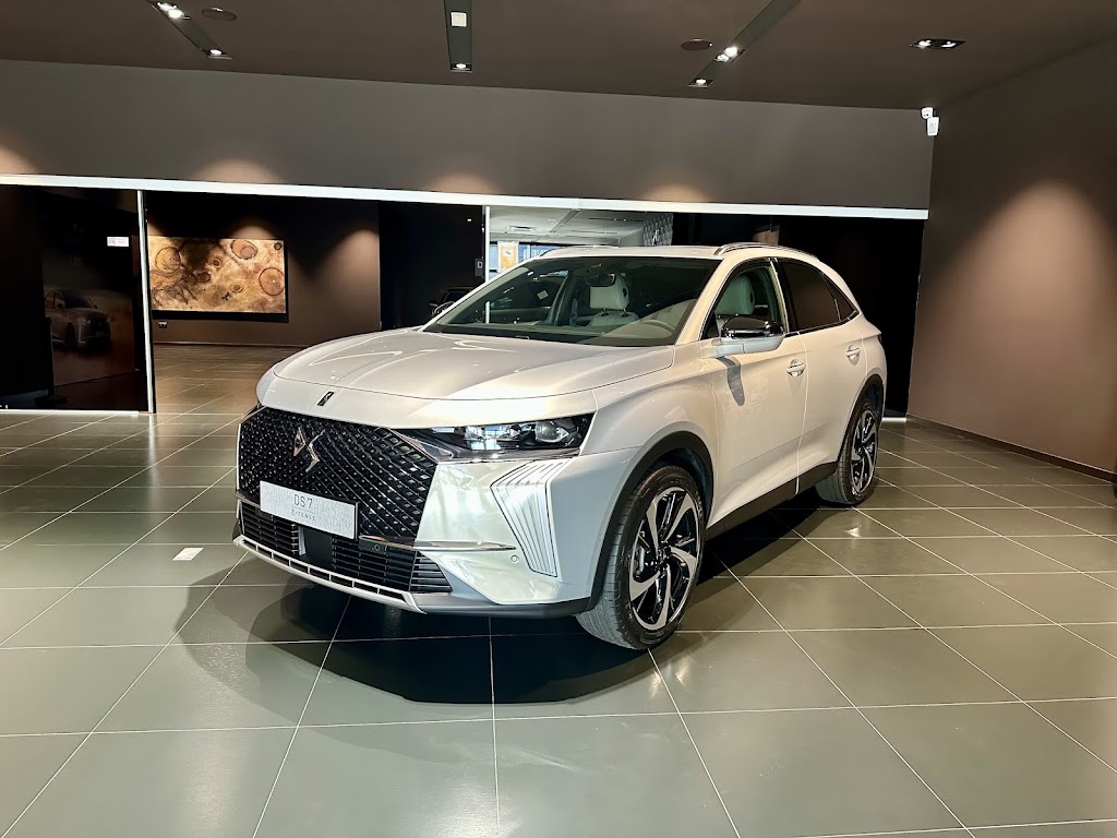 DS Store Santander — Interior