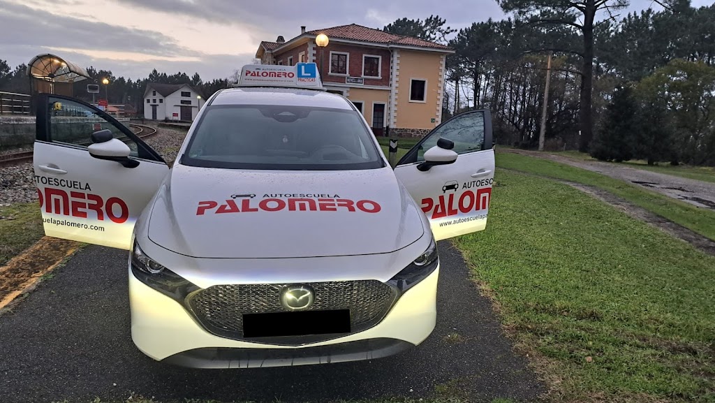 Autoescuela Palomero Schulz — Automovil