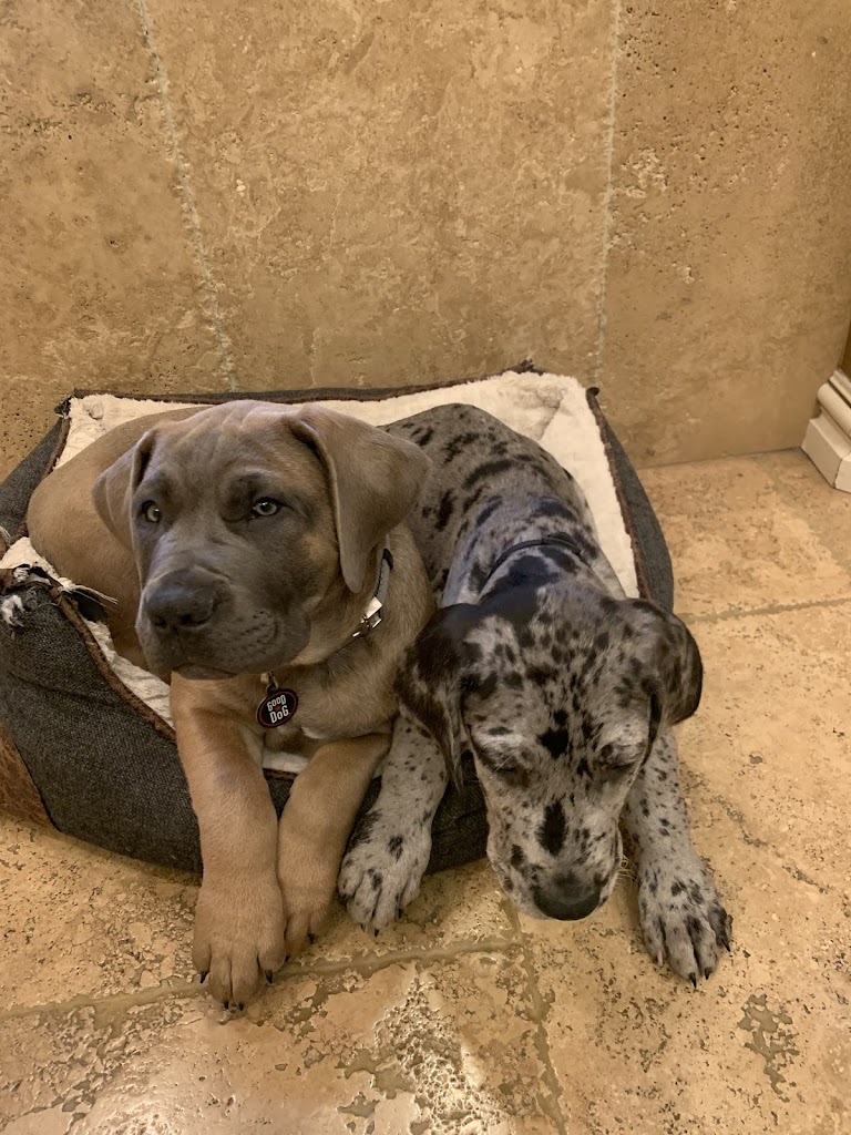  FORTITUDE Strength and Conditioning