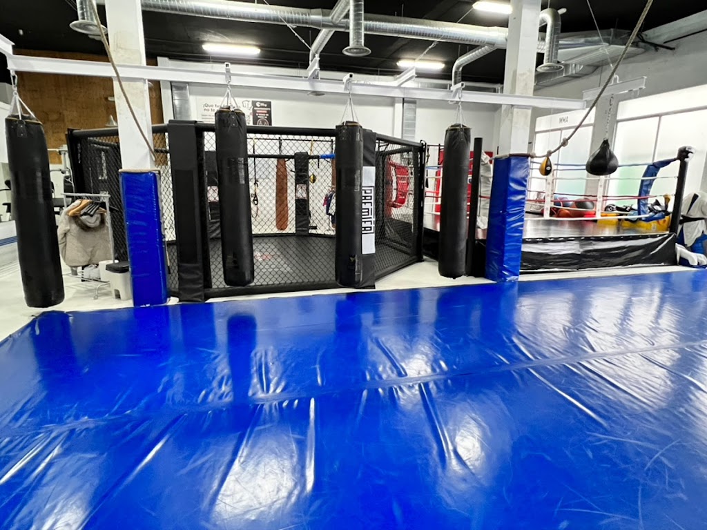 KABASHI CENTER ARROYOMOLINOS. MMA, Krav Maga Urbano,Defensa Personal,Grappling,Jiujitsu,Judo,Sambo,Policial