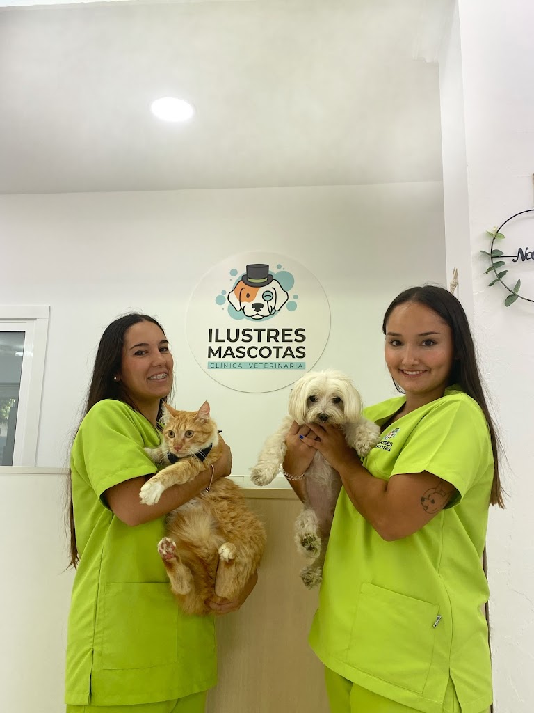 Clinica Veterinaria Ilustres Mascotas