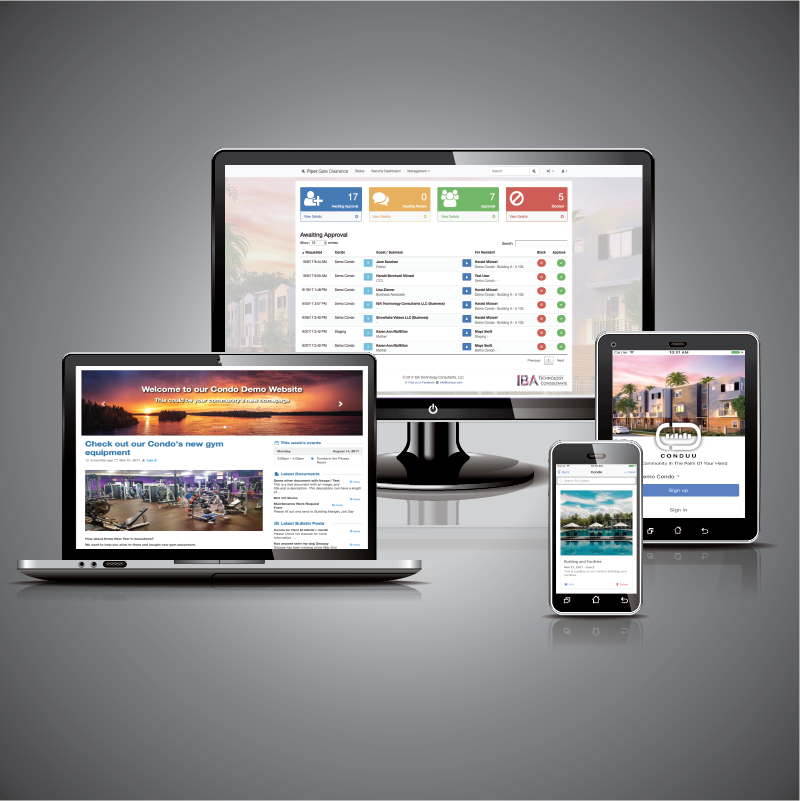 Iba Technology Consultants Llc