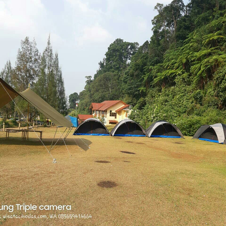 Mandalawangi Cibodas Camping Ground