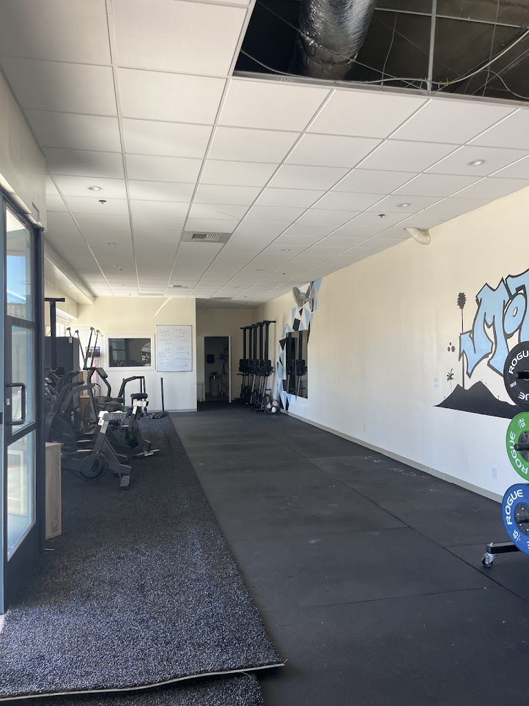  Motion Training Collective