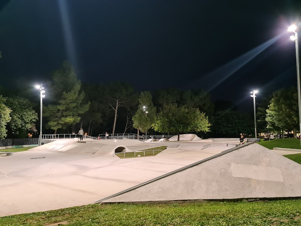 BLEM SKATE PLACA - Placa dels Pastorets