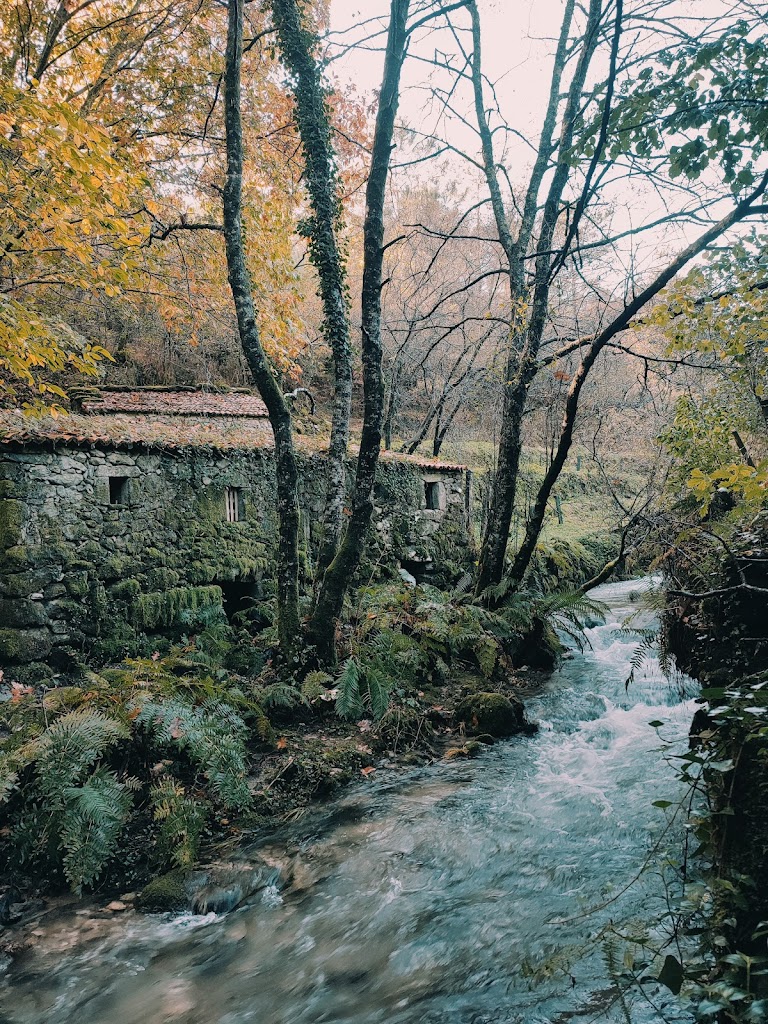 Altitude Ocio y Educacion Ambiental