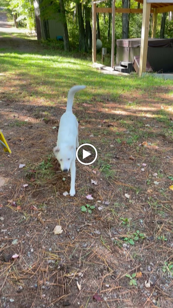  Robinson Lake Resort & Bar