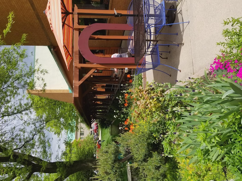  La Brioche True Food