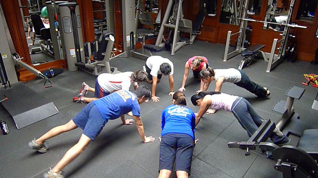 Elysium Fitness