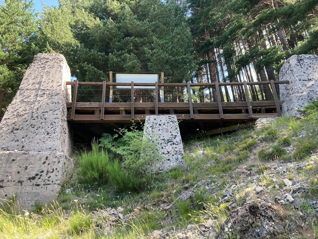 Mirador del Pinar