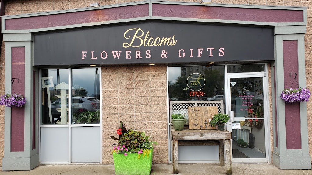 Blooms Flowers and Gifts