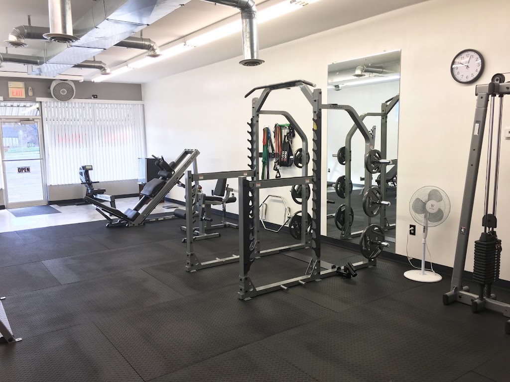  Synergy FX Total Fitness