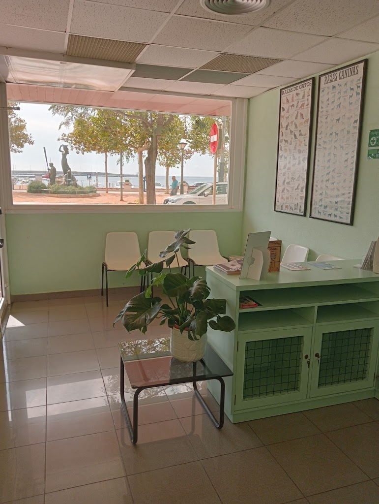 Centre Veterinari DogCat