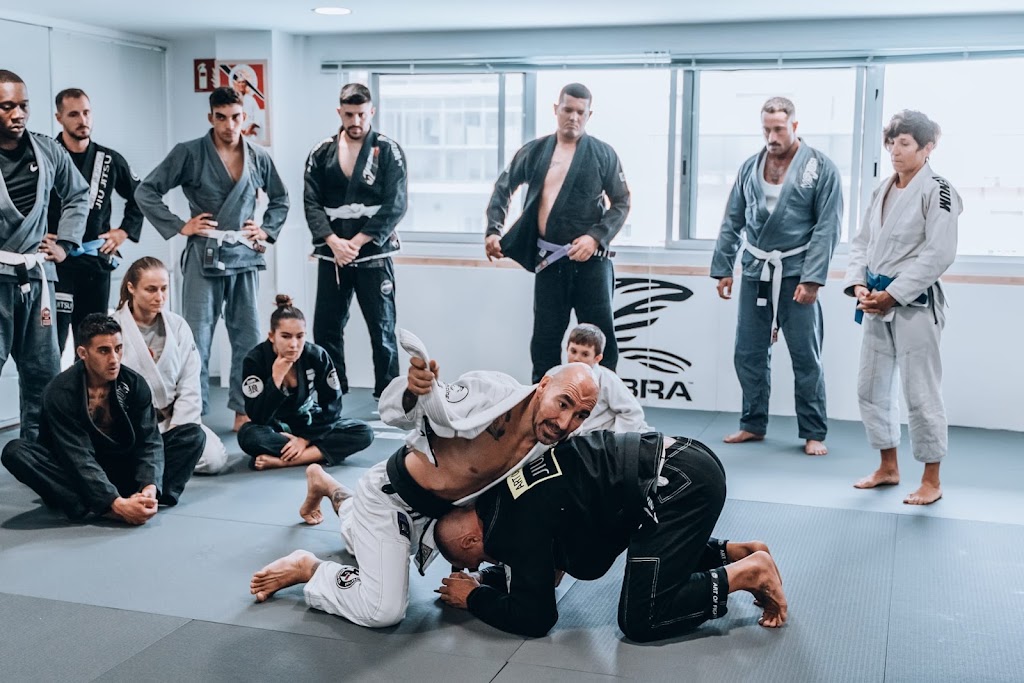 Art of Fighting — Arte marcial