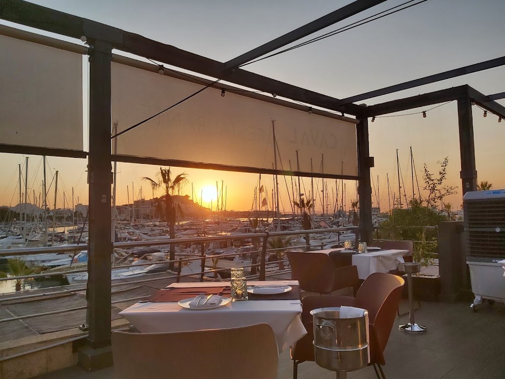 Caval Denia — Ambiente