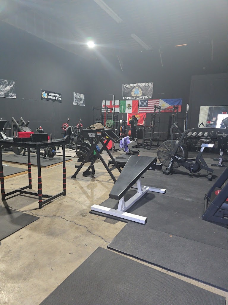  Sharkforce Power House