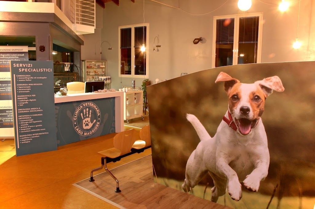 Clinica Veterinaria Lago Maggiore — Del propietario