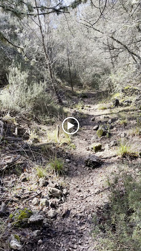 Comienzo de la vereda al cerro de Matamulos