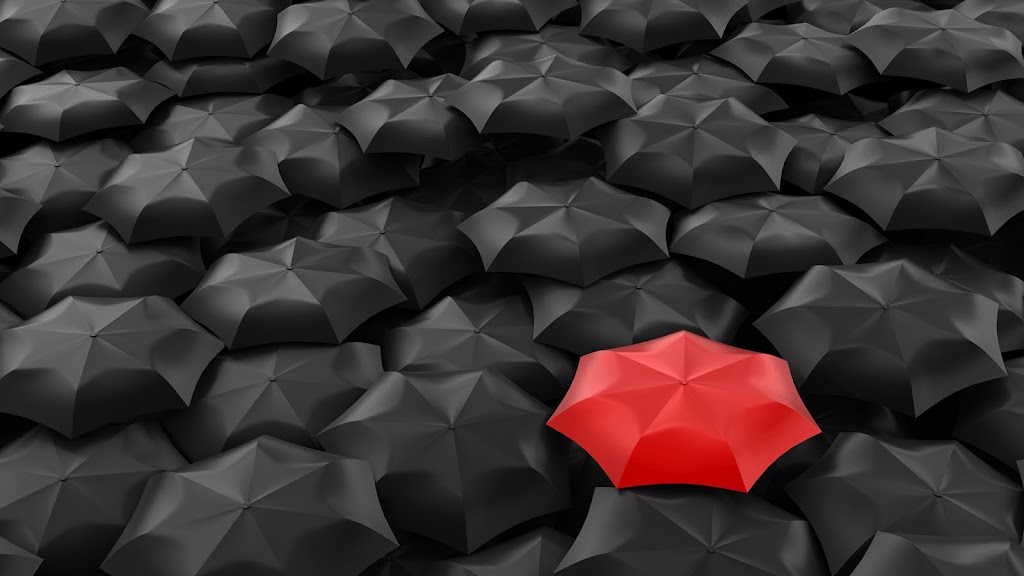 Standout Web Design Company