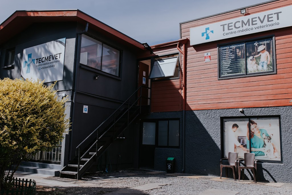 Tecmevet en Concepción, San Pedro de la Paz