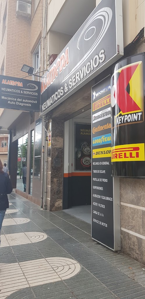 NEUMATICOS Y SERVICIOS ALAMEDA