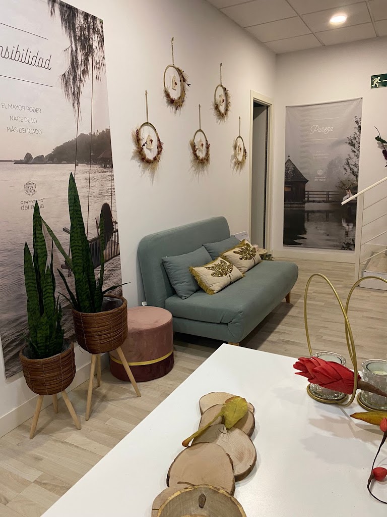 Shelma Diaz Centro de Belleza y Estetica