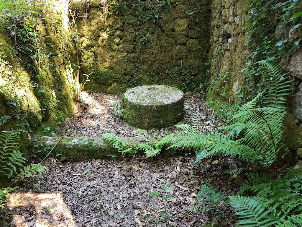 Paseo fluvial Rego das Xesteiras (inicio)