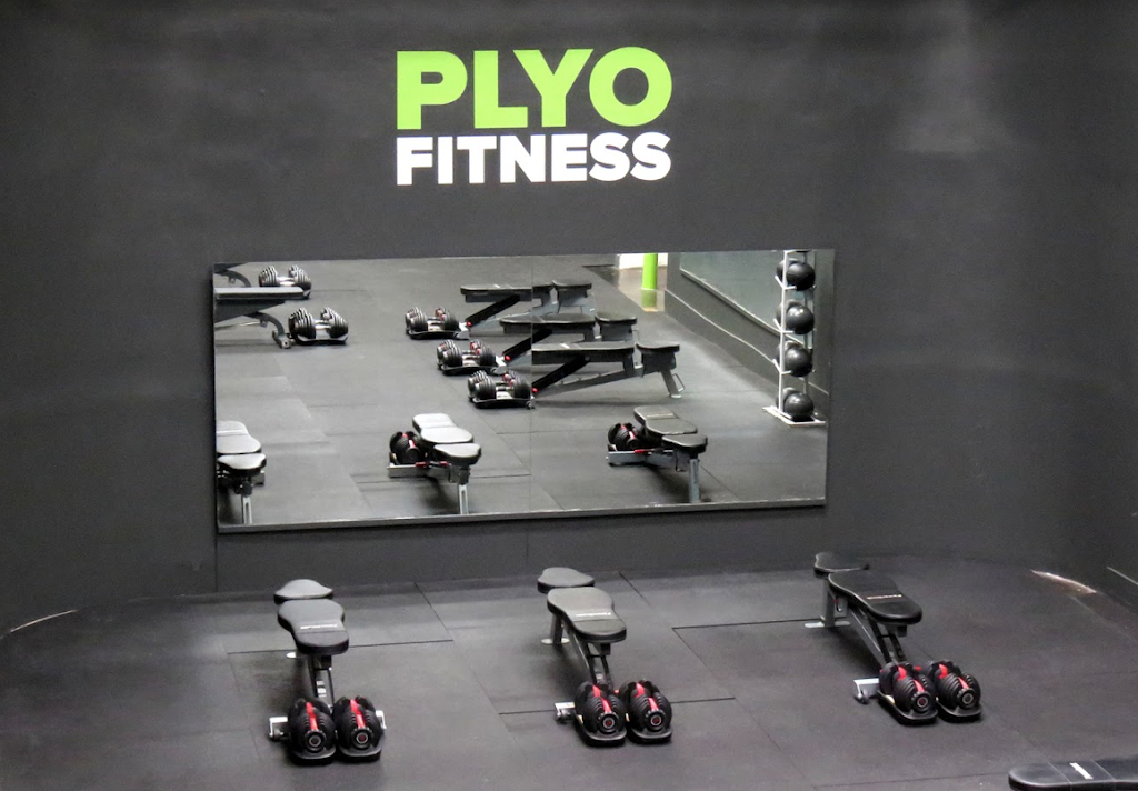  PLYO FITNESS at HOLLYWOOD GYM