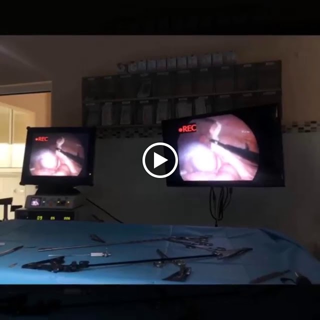 CLINICA VETERINARIA BARRIADA ESPANA, JEREZ — Del propietario