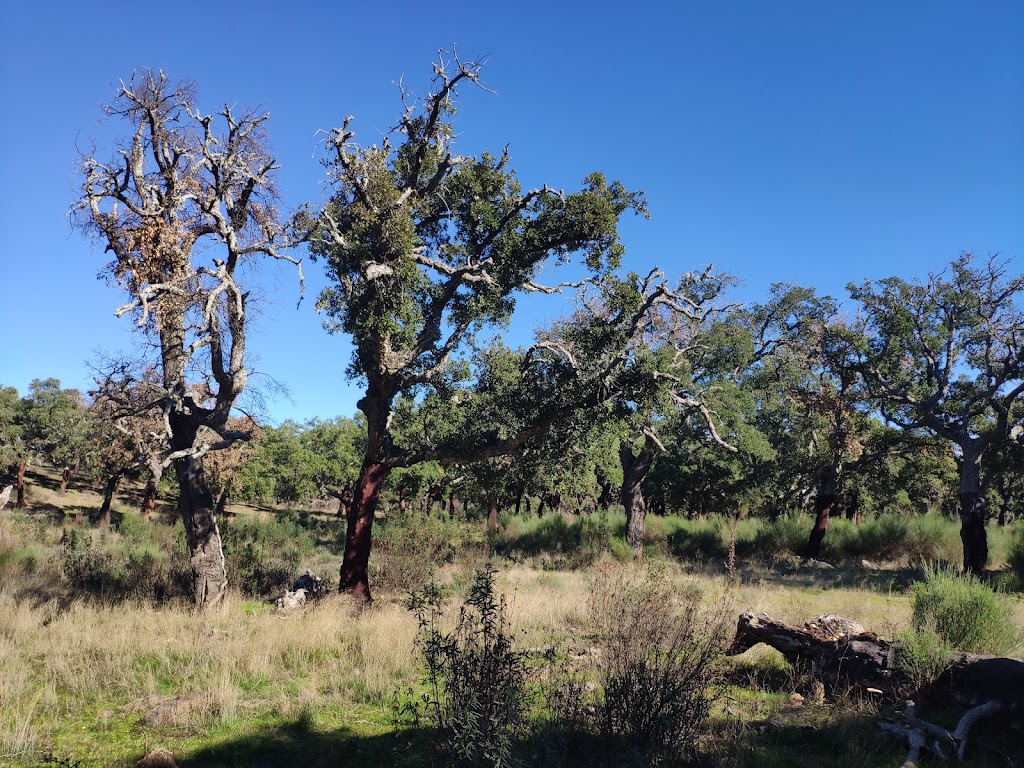 Ruta Presa de Hernan Perez - Dolmen del Maton (SL-CC 203) - Inicio de ruta