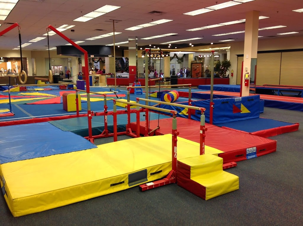  FlipNFun Gymnastics