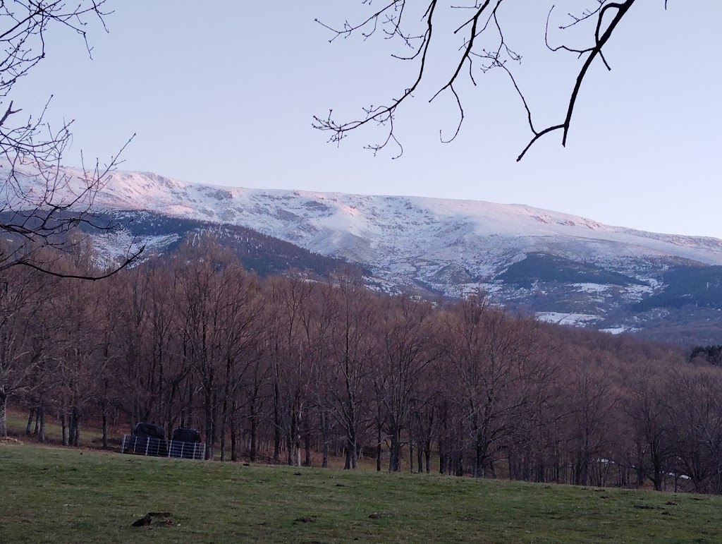 Camino palomares — Mas recientes