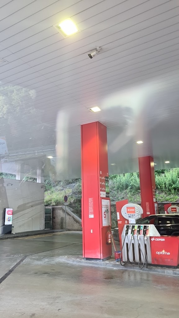 Estacion de servicio Cepsa — Surtidor de combustible