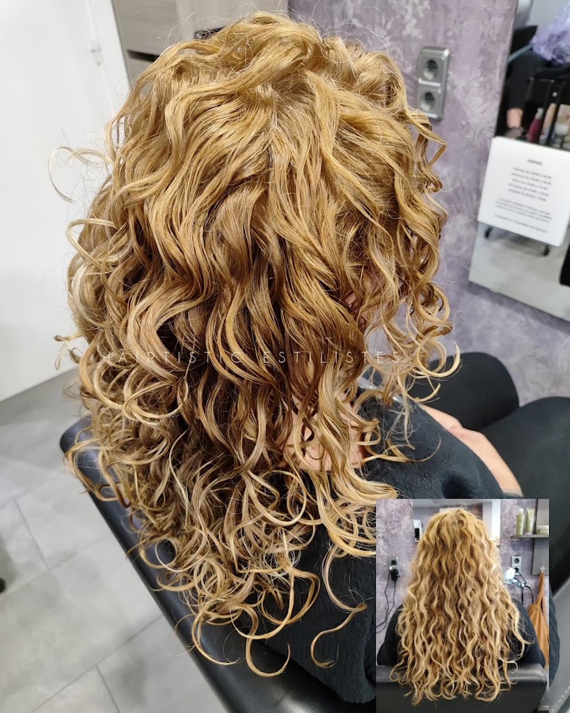 Hairtistic Estilistes — Del propietario