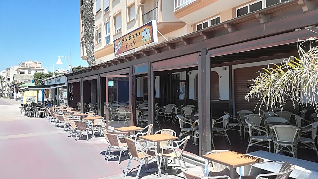Cafe Habana — Ambiente