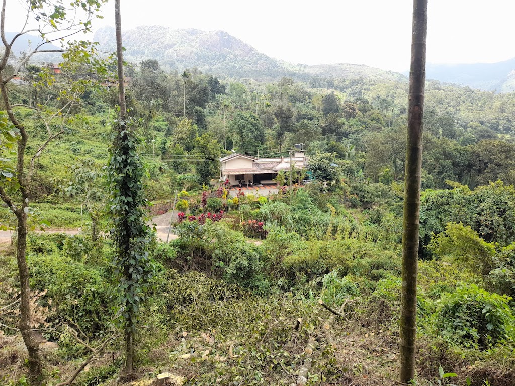 Nayadampoyil Resorts