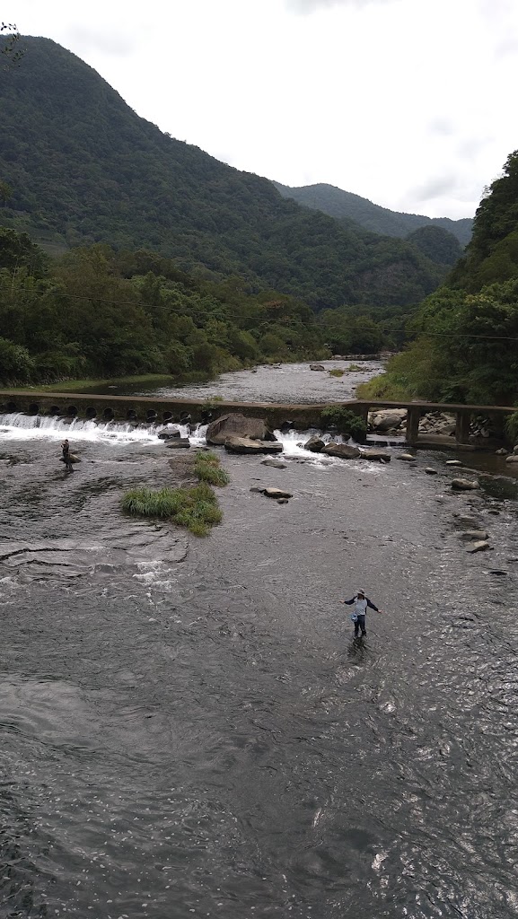 峇里島晴天 的照片