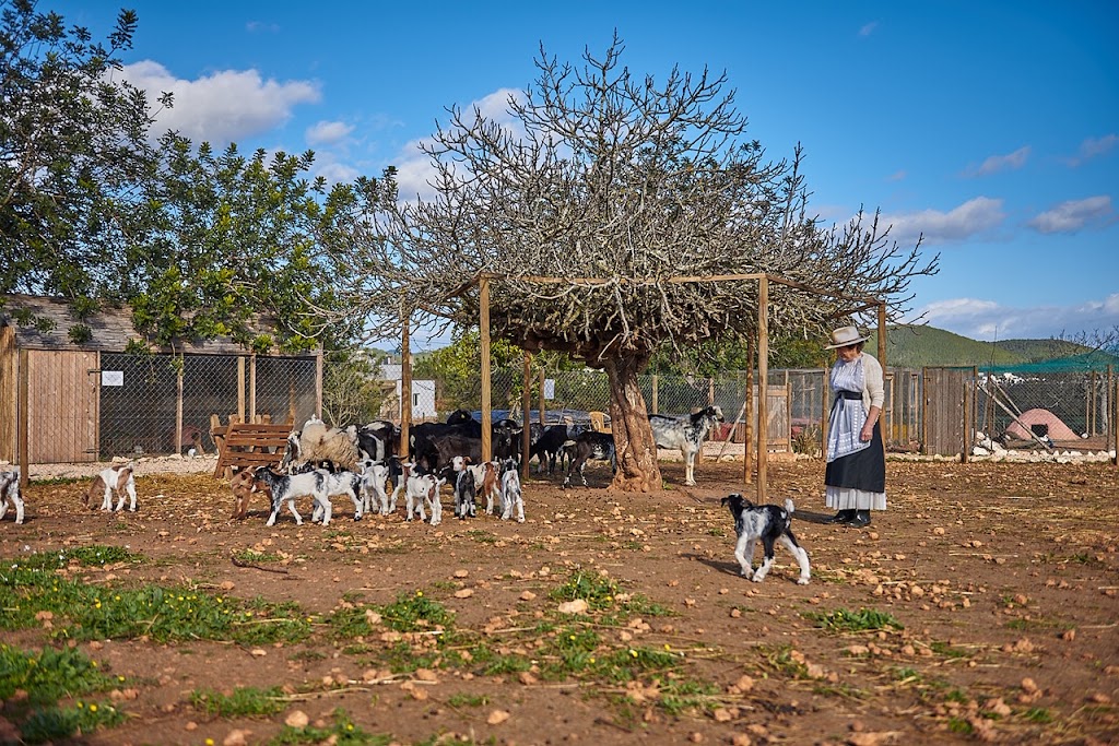 Finca Ecologica Can Muson