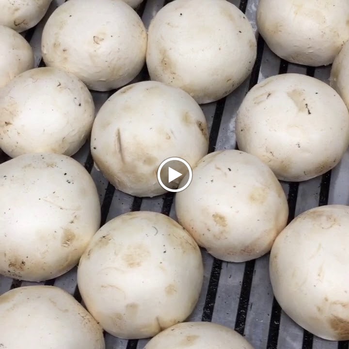 GASTRO CERVECERIA BOHEMIA CALAHORRA — Videos