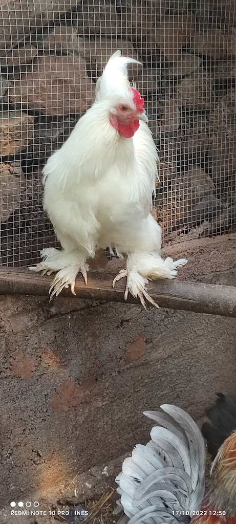 Finca Ecologico la Haciendita del Carmen