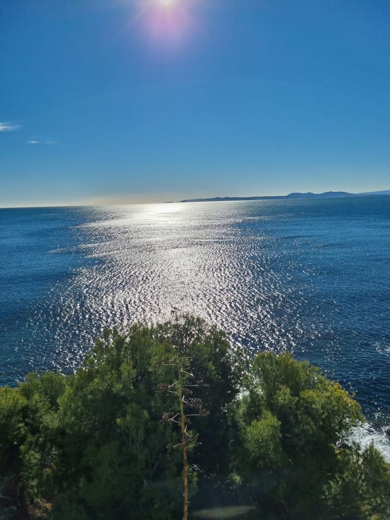 Belleza Del Mar Roses