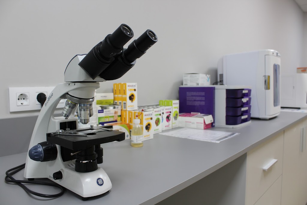 Clinica Veterinaria Animal Sapiens Blanes — Del propietario