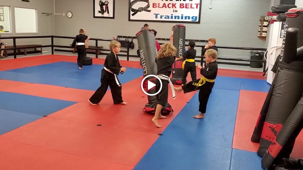  Success Martial Arts ( Twin Falls )