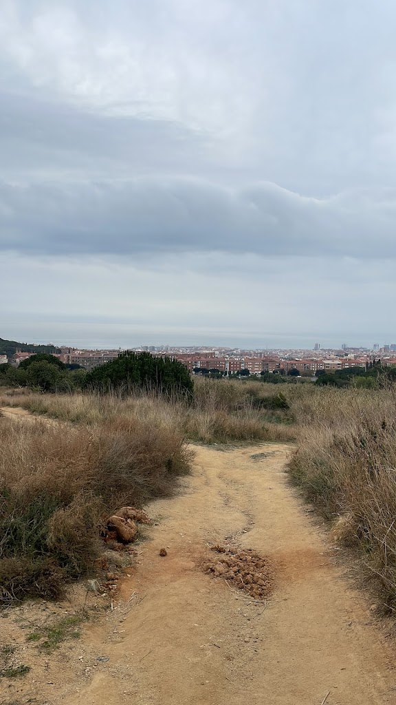 Cami de la Serra