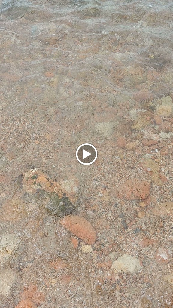 La Azotea Salou — Videos