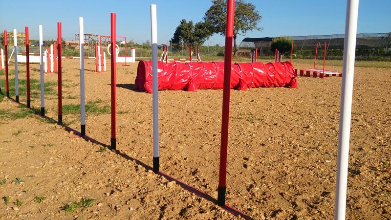 Brecoluz Residencia Canina Agility — Del propietario