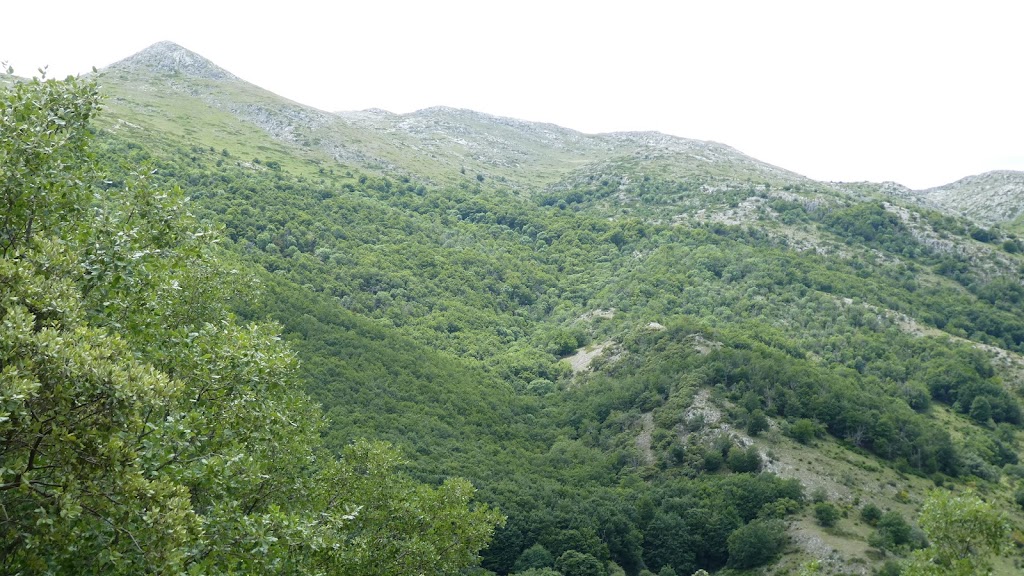 Collado de los Novios